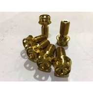 Air Nipple Bolt - Fine Thread