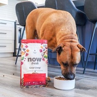 【狗主食】now 牛肉 中型成犬 高湯天然糧 乾濕兩吃 狗飼料 狗糧