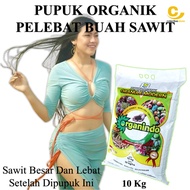 Pupuk Sawit Buah Pasir / Pupuk Penyubur Buah Sawit / Pupuk Perangsang Buah Sawit