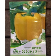 Plants/ Organic/ Green/ Vegetables/ Peppers/ 甜椒/ 青椒/ 農青/ 含羞草/ 怕羞草種子/ 容易種/ 粗生/ 花草植物/ 新手盆栽種植/ 辦公室植物/ 週