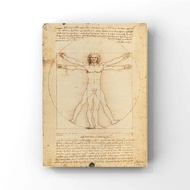 Clementoni Italy Imported Puzzle Witruvians 500 Pieces