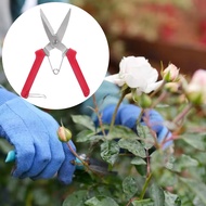 Vegetable and fruit scissors, stainless steel pruning shears, grape shears, fruit pruning shears, or