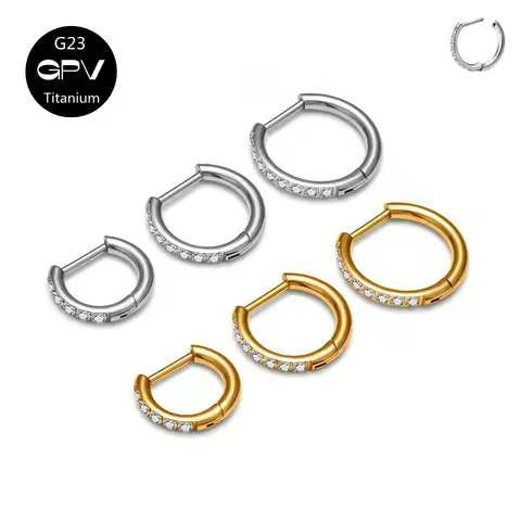 ASTM G23 Titanium Earrings Double-opening CZ Classic Semicircle Hoop Pierced Jewelry Earrings for Me