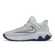 Nike Basketball Shoes Giannis Immortality 4 EP Men's Gray Blue Antetokounmpo [ACS] FQ3681-008