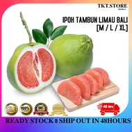 TKT Ipoh Famous Tambun Limau Bali / Tambun Pomelo  Sweet &amp; Sweet-sour  [ M / L / XL ]
