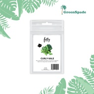 Fatty Seeds Curly Kale
