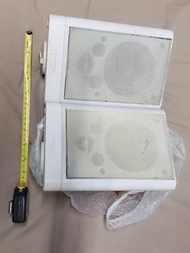 英國 Celestion Ditton