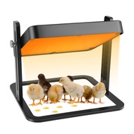 Pitalok Brooder Heater For Chicks Chick Brooder Heating Plate With Easy Clean Plate 10" X 10" Rutin 