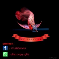 ikan arwana super red 15cm