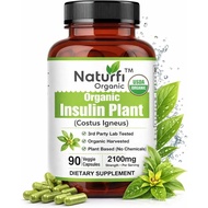 Naturfi Organic- Insulin Plant Capsules (Costus Igneus), USDA Organic | 100% Natural Supplement, 90 