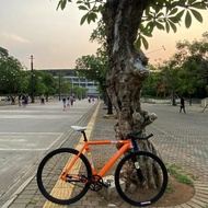 Sepeda United Soloist 77