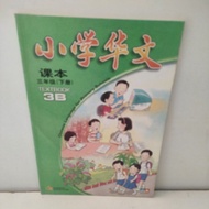 CHINESE CURTAIN FOR PRIMARY SCHOOLS TEXTBOOK 3B