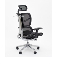 【Ready Local Stock】 Fully Loaded Fly Luxury Ergonomic Office Chair Mesh Chair With Lumbar Support Polished Aluminum Base