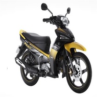 Sirius fi RC black gold stamp 2016