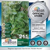 Biji Benih Remayong Green Emerald 211 Malabar Spinach Seed JOM TANAM 青帝皇苗种子 蔬菜种子 Vegetables Gardenin