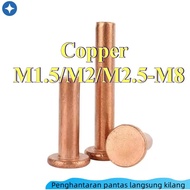 Copper Countersunk Head Rivets GB869 Percussion Type Flat Head Flat Cone Head Solid Rivets Copper D 
