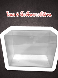 โหลปลากัด 4x8x6 นิ้ว พื้นหลังตู้สีขาว  สีน้ำเงิน สำหรับถ่ายรูปปลา