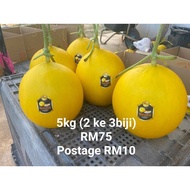 MELON MANIS TERENGGANU