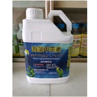 5kG Seaweed Chitin/Chitosan (Rumput Laut Kitin) Hi-Ca + Hi-K Baja daun Durian/Foliar Durian/Baja air/Amino Acid/Booster