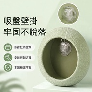 ✨Taiwan Shipment⭐ Eye Eyelash Gecko Hide Hole Hide Hole Climbing Pet Hide Landscaping Breeding Box H