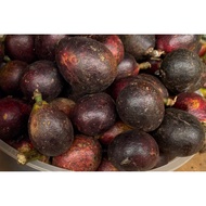 Buah Matoa/Buah longan brazil巴西龙眼