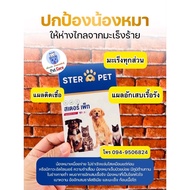 Ster Pet สเตอร์เพ็ท ( ดูแลสุขภาพน้องหมาและแมว )