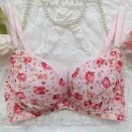 G95 Chest 44-46 Chubby Girl Has Flaws Japan Princess Bra Japanese Second Hand