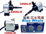 【樂魚寶】台灣Blue Whale 藍鯨 - 內置沉水馬達 沉馬 (無濾杯) 1200LH 2200LH 3200LH