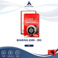 BEARING 6300-2RS RUI - BALL BEARING LAHER LAKER 6300 2RS