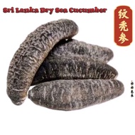 品质好 海参 干海参 Sri Lanka Sea cucumber 小海参 纹秃参 现货Ready stock😋補品😋🔥 热卖🔥Hot selling🔥海黄瓜 hoy sum🔥胶原蛋白🔥海产 海味 干