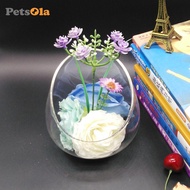 PETSOLA Slant Cut Bowl Glass Vase Candy Dish Fruit Jar Glass Terrarium Bowl for Tabletop