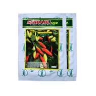 Benih Cabe Pablo 86 10gr Serdadu Seed Cabe Rawit Kokoh Buah Banyak