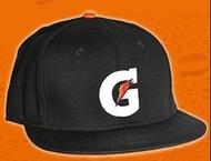 全新佳得樂 Gatorade cap帽 snapback