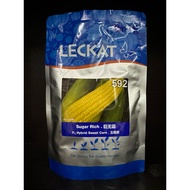 200gm Leckat 592 Sugar rich F1 Hybrid Sweet Corn Seeds