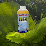 Linodor 20SL 1L Imidacloprid 20.0% w/w
