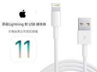 【 原廠】 iPhone X/ 8 / 7/ 6S /6 plus/ 5 充電傳輸線 Lightning