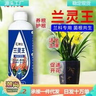 【樂樂屋】蘭靈王蘭花專用營養液肥料EM菌君子蘭科蝴蝶蘭墨蘭促活化劑陵正牌