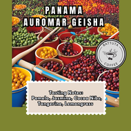 [Battuta Coffee] Panama Auromar Geisha Coffee - 100% Arabica blend beans