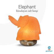 Salt Lamp Elephant Himalayan Salt Lamp Fengshui salt crystal light Singapore table lamp