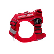 NTP - SET สายรัดอก Interlaken Harness (์์NEW MODEL) และสายจูงแบบเดี่ยว Autolock Leash