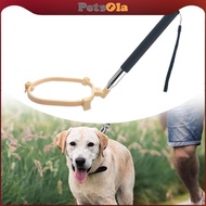 PETSOLA Dog Poo Catcher Scooper Poops Scooper for Dog Multifunctional Pee Catcher for Grass Dirt Wal