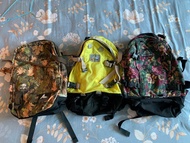 日本入男女啱用 Gregory backpack about 24L 返工背包返工背囊返學背包返學背囊旅行背囊旅行背包 office backpack travel backpack 登山毅行者越野跑