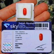 Batu Akik Natural Red Marjan Asli Original Red Coral