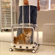 QM BethanathCat Bag Space Capsule Transparent Pet Portable Stroller Cat Trolley Case Cage Dog Outing Box EFBP