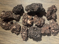 🌿【肉町】碳化軟木板現貨｜雨林缸背景神器｜蘭花上板｜鹿角蕨上板｜爬蟲背景板🌿