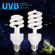 Reptile UVB 5.0 10.0 Lamp Bulb for Turtle Lizard Heat Calcium Lamp Succulent E27