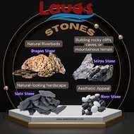 LAVAS Dragon Stone 1KG Golden Yellow Ohko Alveolate Rock Stone Hardscape Aquascape Aquarium