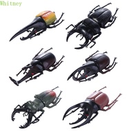 WHITNEY Simulation Beetle Trick Props Animal Collection Insect Toy Fake Beetle Beetle Figures Joke T