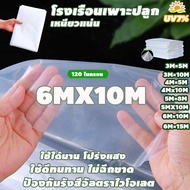 พลาสติกโรงเรือน คุม โรงเรือน พลาสติกคลุมโรงเรือน กันฝนgreenhouse หนา 150 ไมครอน UV13% โรงเรือนแคคตัส