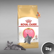 Royal Canin Kitten British Shorthair 2kg - BSH RC Kitten Food